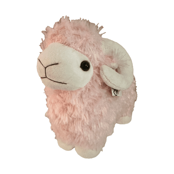 Roze Schaap